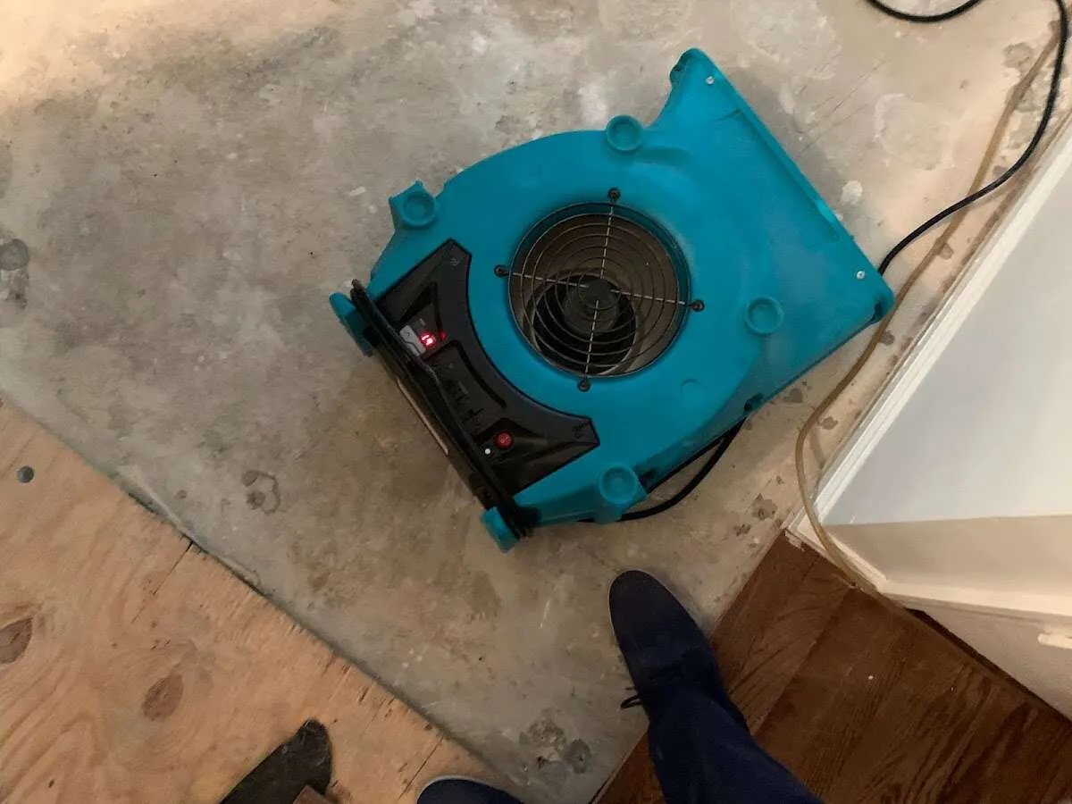 Air mover drying subfloor during Leak Detection & Repair in Bloomfield